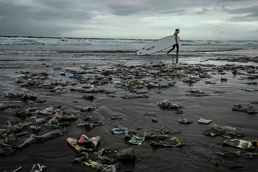 SEA2SEE PARTICIPE AU CONGRÈS NATIONAL SUR L'ENVIRONNEMENT, CONAMA 2016